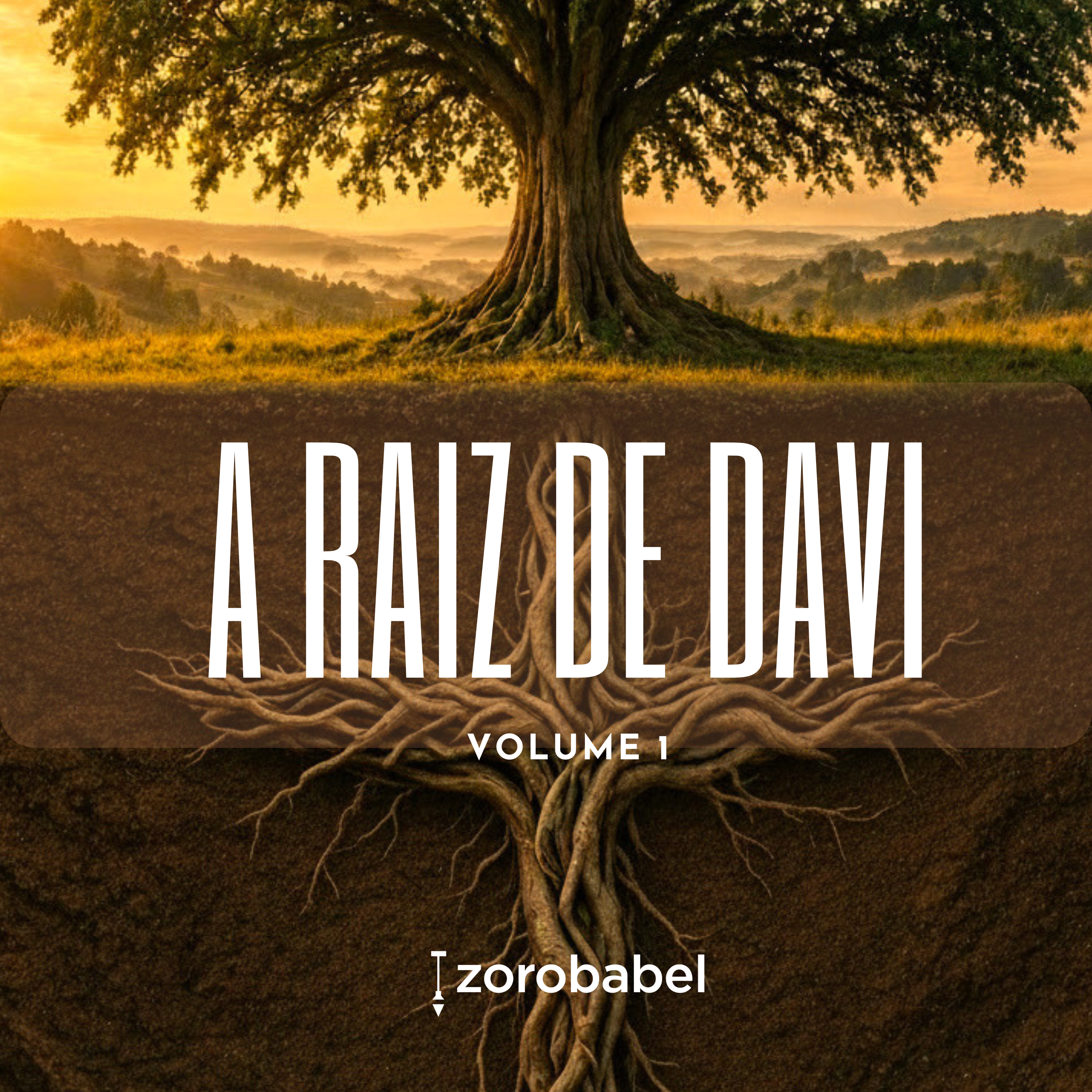 A raiz de Davi — Capa